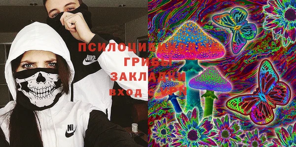 молекула духа Семикаракорск