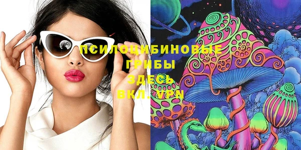 молекула духа Семикаракорск